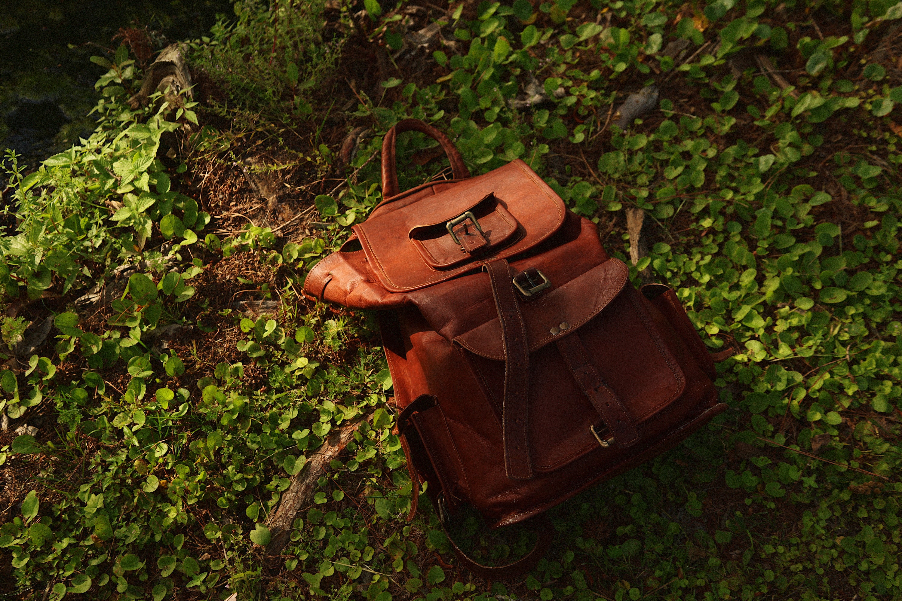 Brown leather rucksack laying on grass
