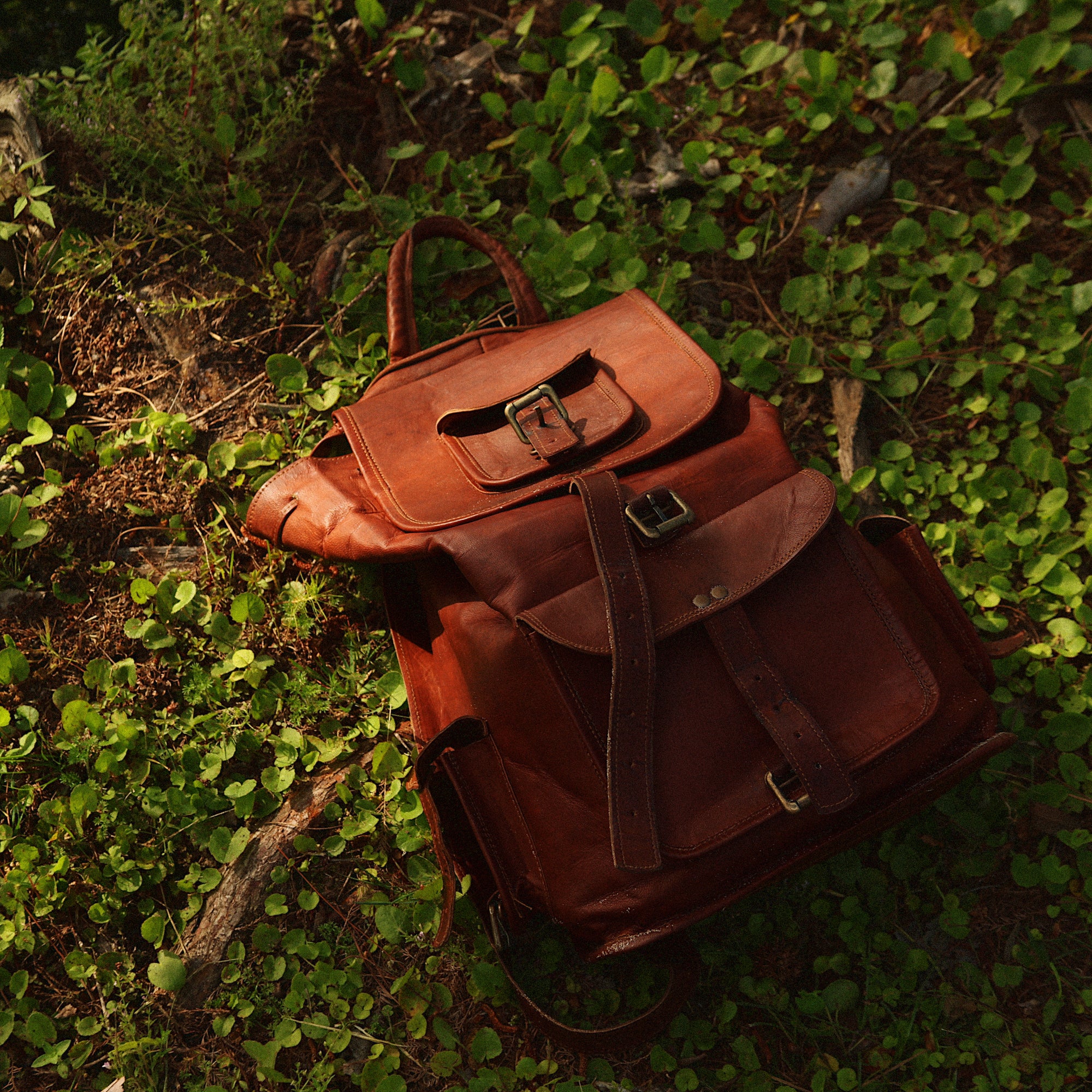 Brown leather rucksack laying on grass